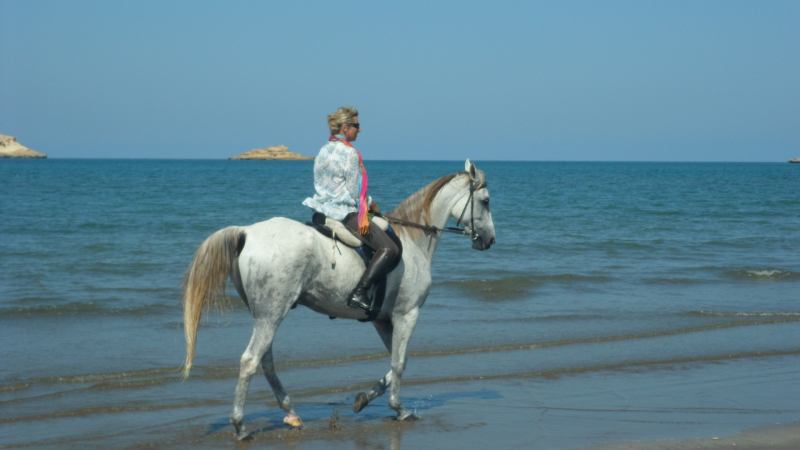 horseback riding Oman