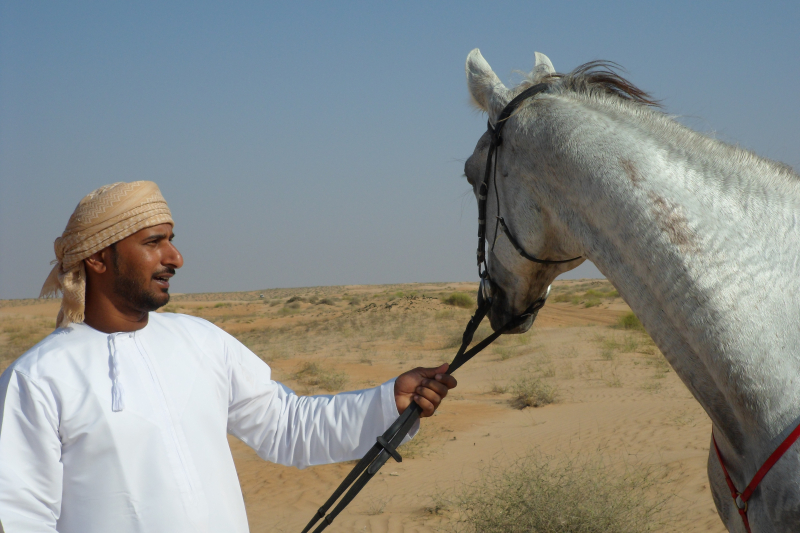 rando équestre à Oman