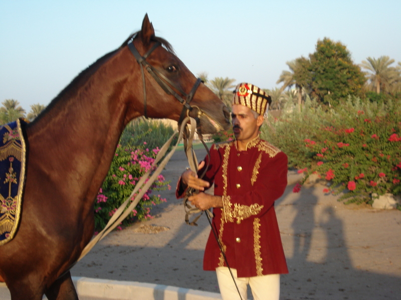 équitation à Oman