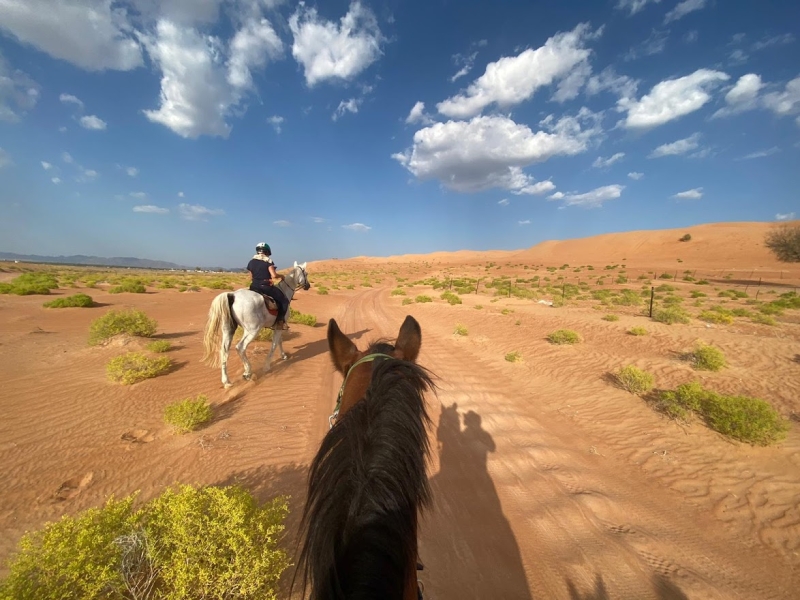 Oman horse holiday