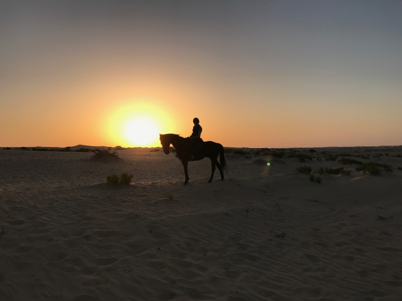 Oman horseback riding