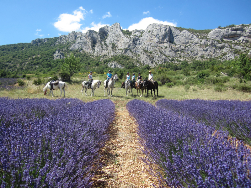 horseback trail ride Provence