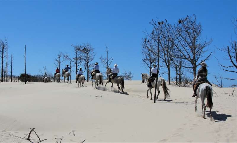 equestrian vacation in Brazil