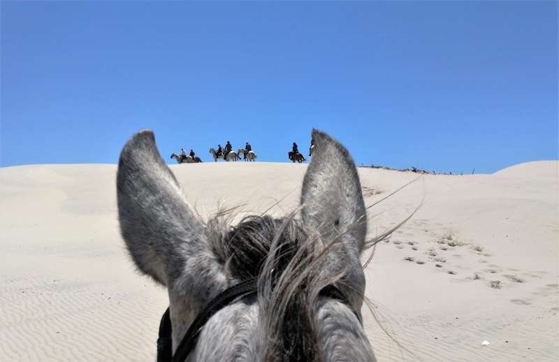 equestrian trip in Brazil