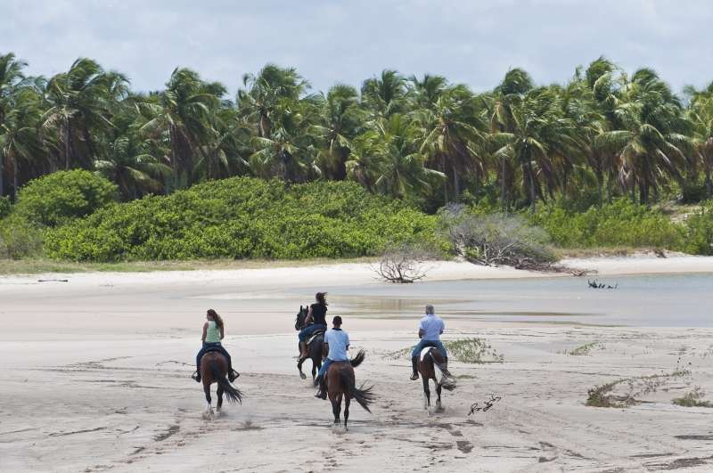 where ca we ride horses in Brazil