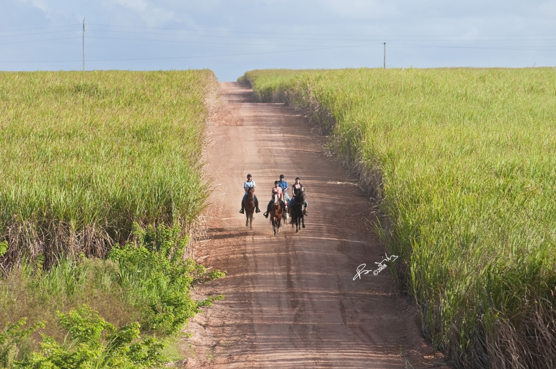 horseback riding holiday in Brazil