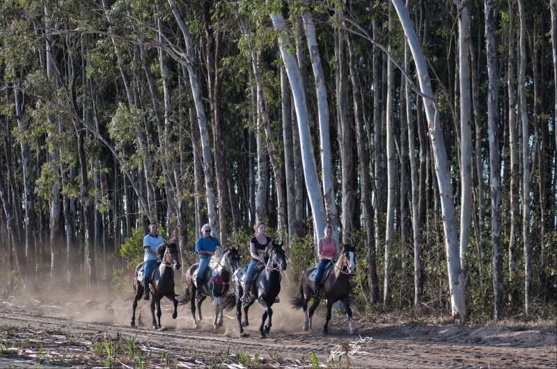 visit Brazil on horseback