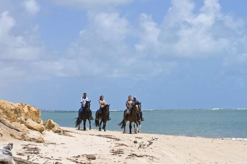 horse riding in Brazil