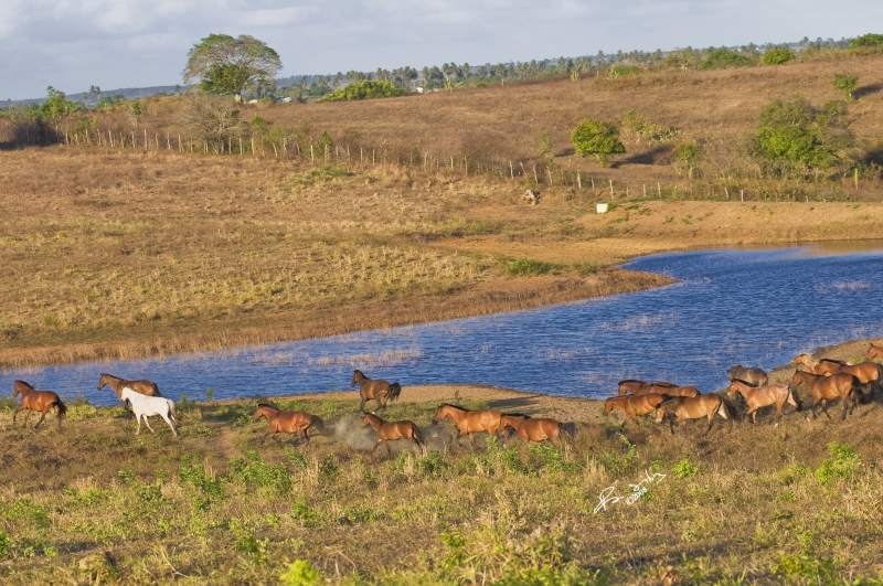 week horseback trail ride in Brazil