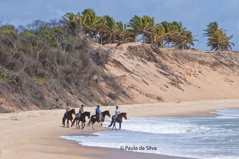 horse holiday in Brazil