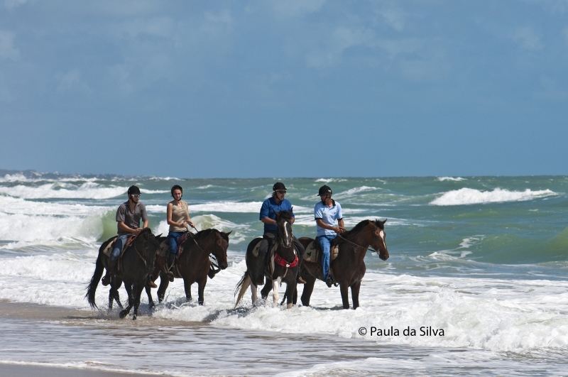 equetrian holiday Brazil