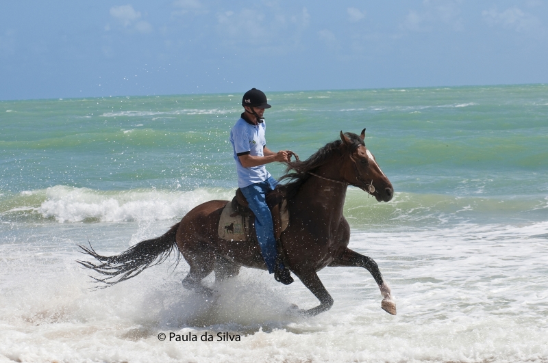 horse riding school in Brazil