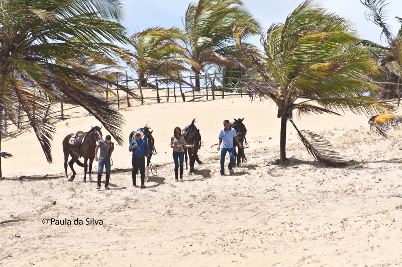 horse vacation in Brazil