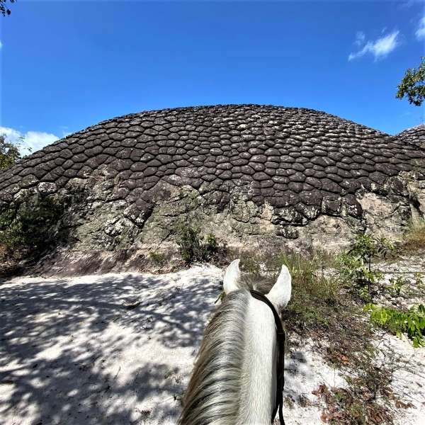 equestrian trail ride in Brazil