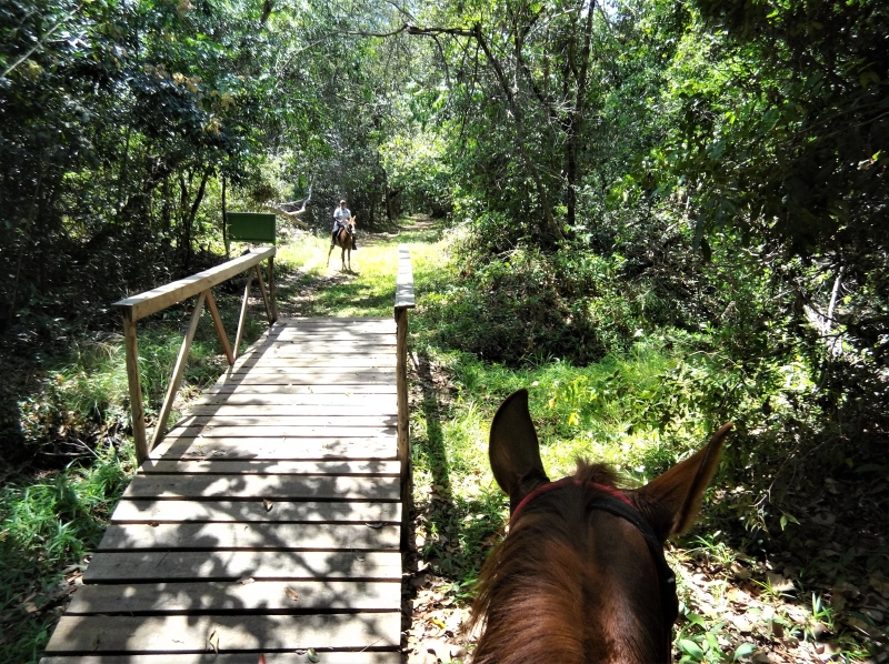 horse holiday Brazil