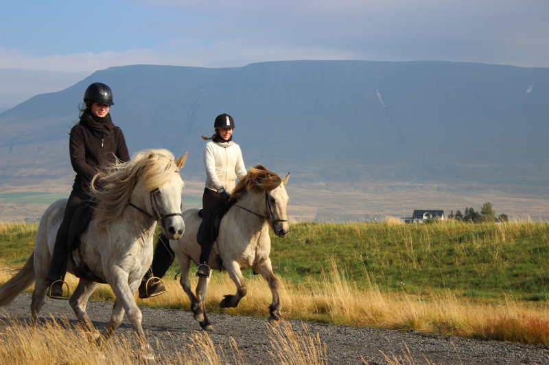 horse riding holiday in Mongolia
