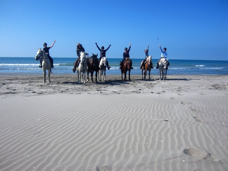 semaine à cheval