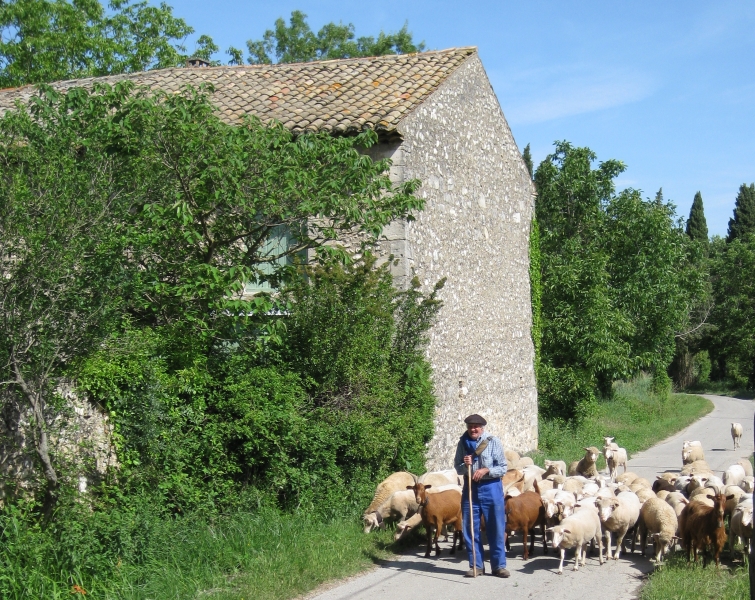 tourisme à cheval