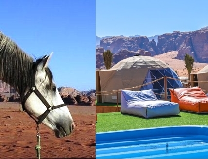 equestrian trip in jordan