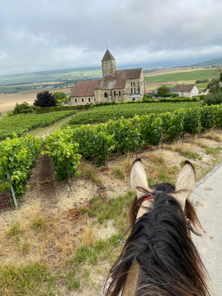 equestrian vacation in France