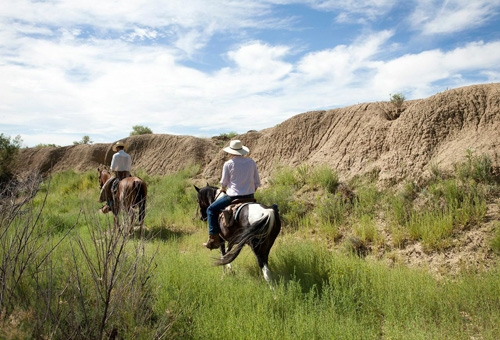 rando cheval usa