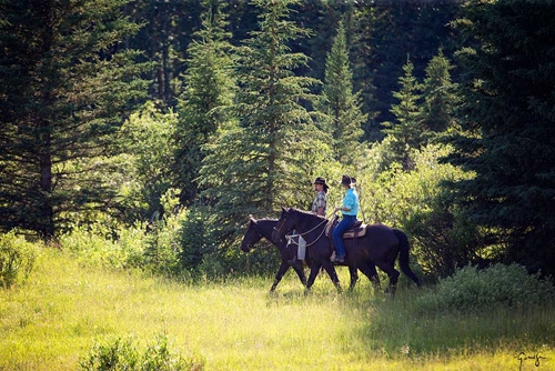 rando cheval Canada