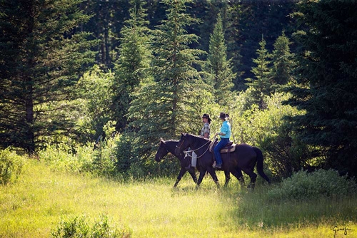 rando cheval Canada