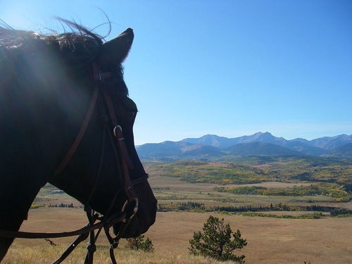 vacances ranch cheval Canada