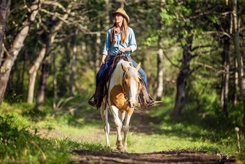 A cheval dans les Rocheuses au Canada