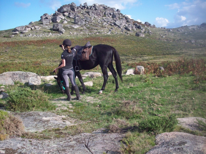 Portugal horse riding