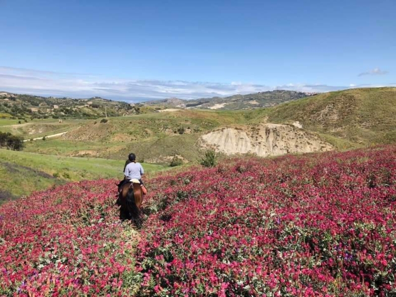 sicily horseback riding