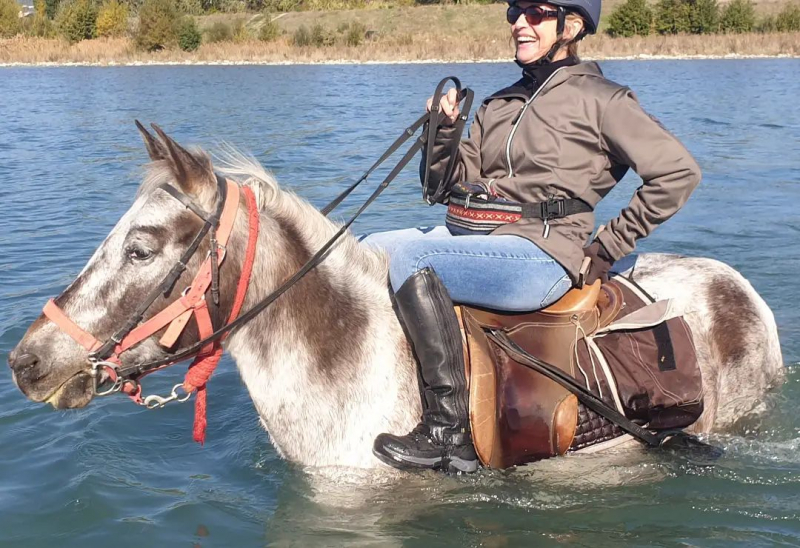 horse riding vacation Provence