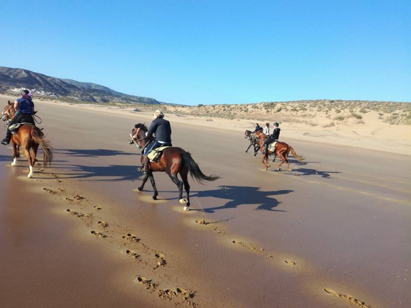 rando cheval Maroc
