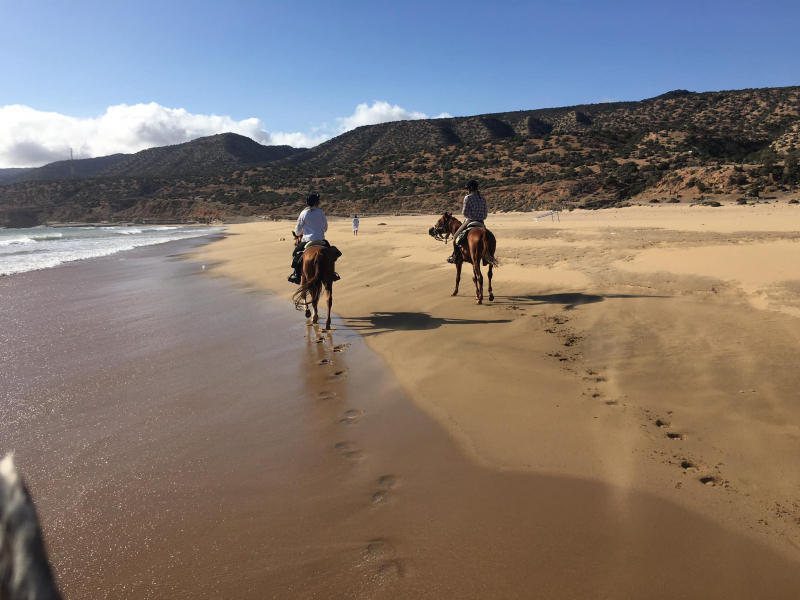 horseback ride morocco