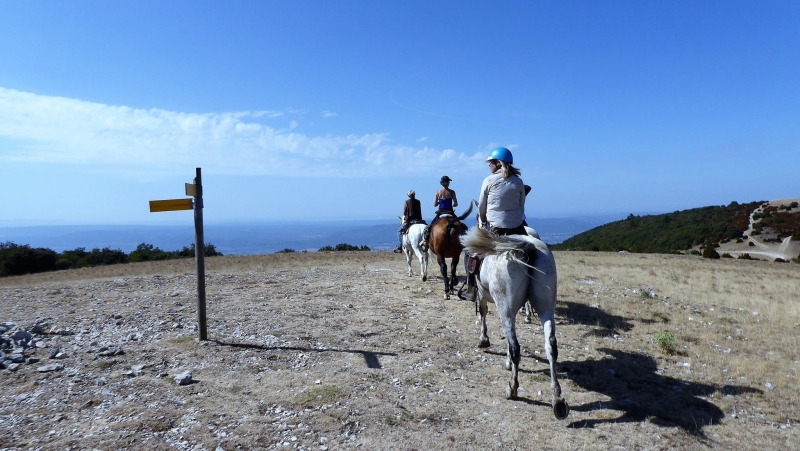 provence horseback trail ride