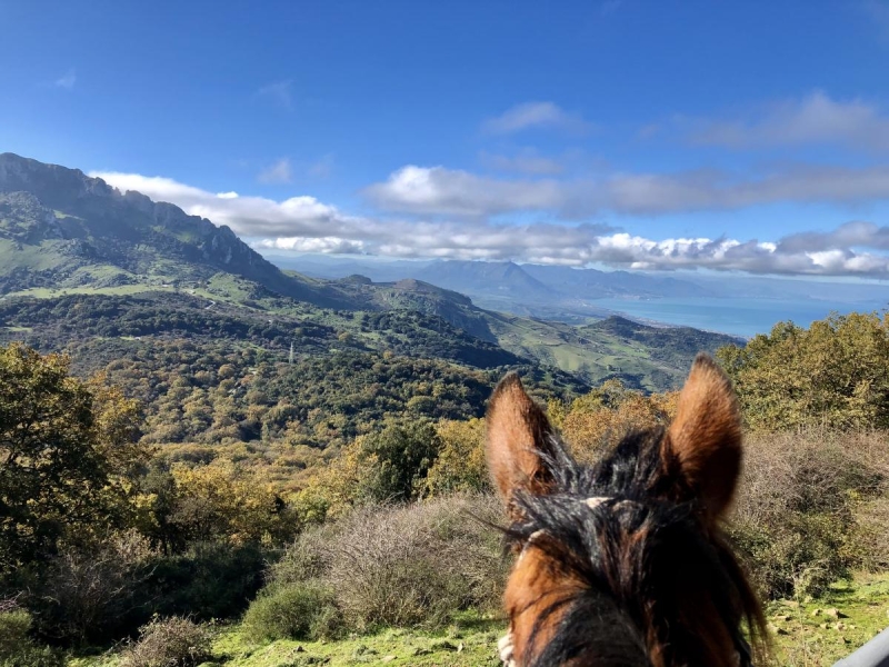 sicily on horseback