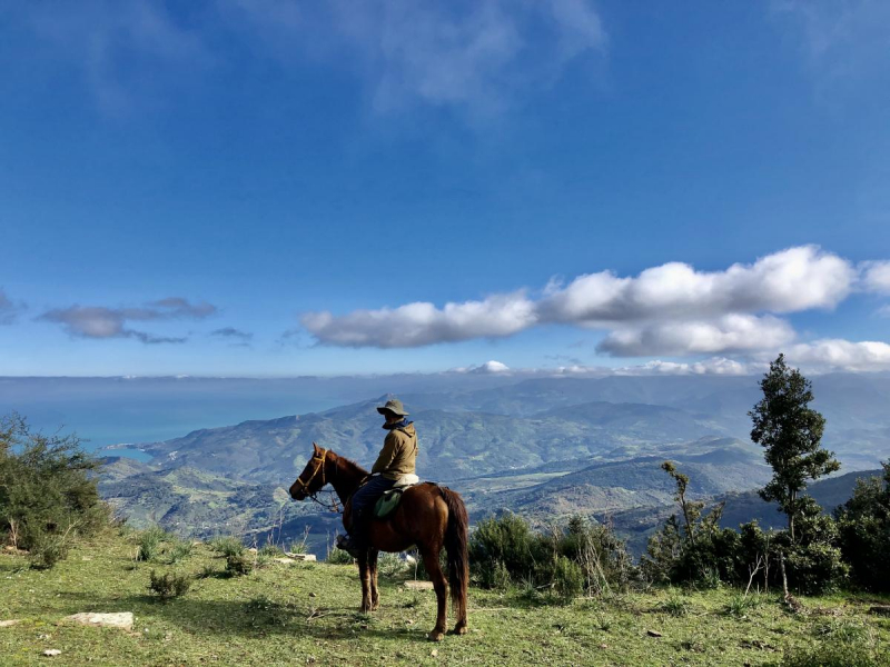 horse trail ride in sicily