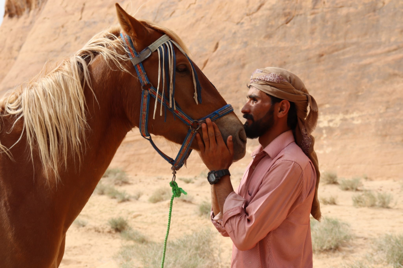 rando equestre en Jordanie