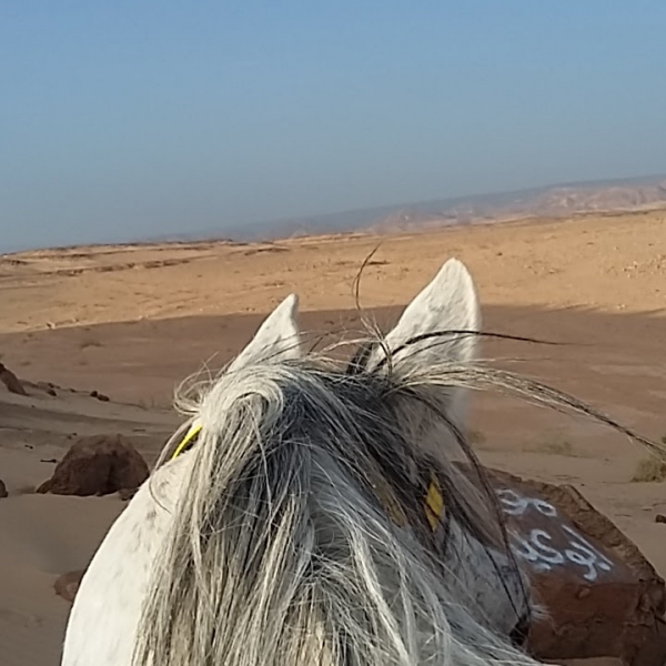 vacances à cheval en Jordanie