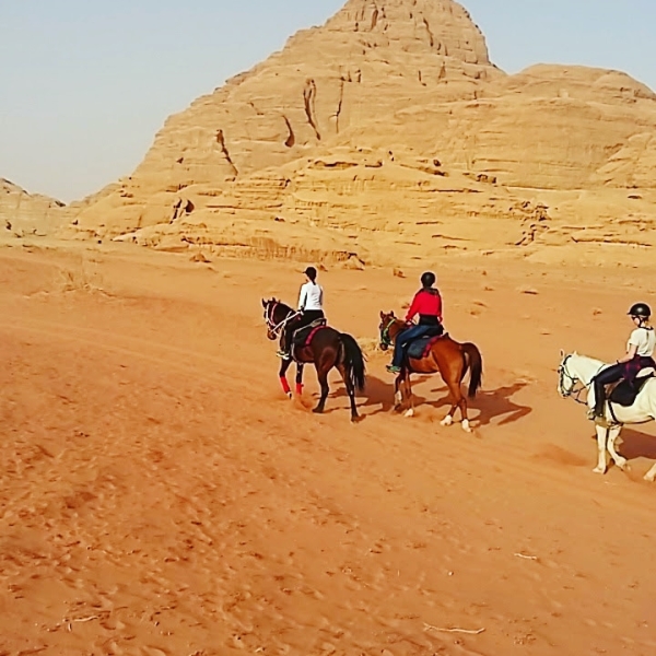 sejour equestre en Jordanie