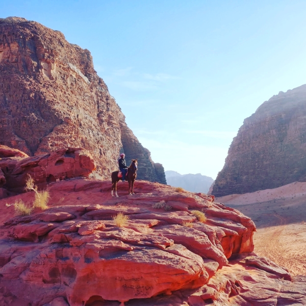 rando cheval Jordanie