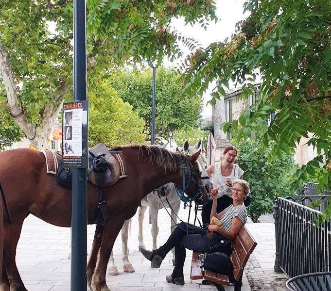 horse riding trip in Provence