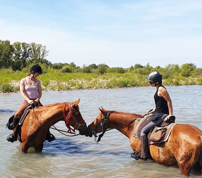 horse trail ride in Provence