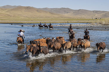 Mongolie a cheval