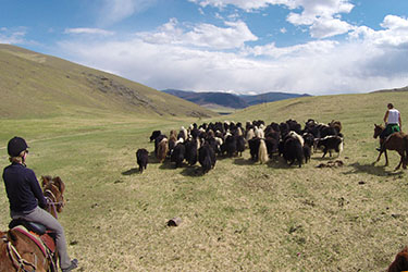 rando equestre Mongolie