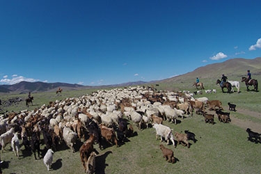 A cheval en Mongolie