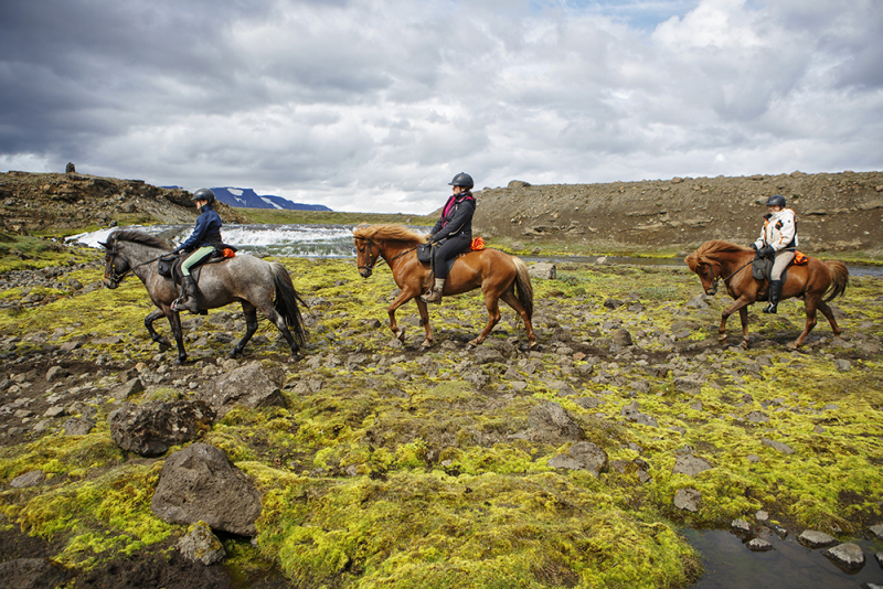 trail riding in Iceland on horseback
