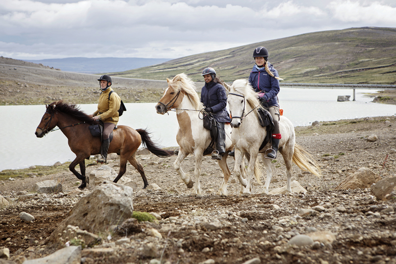 equestrian riding trip in Iceland