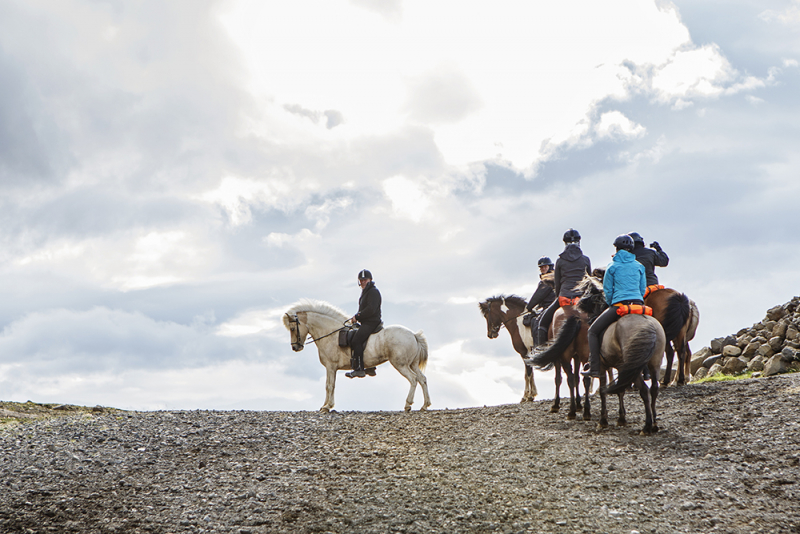 discover Iceland on icelandic horse