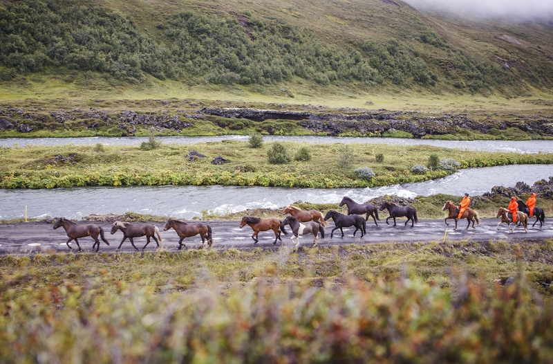 iceland horse riding holiday